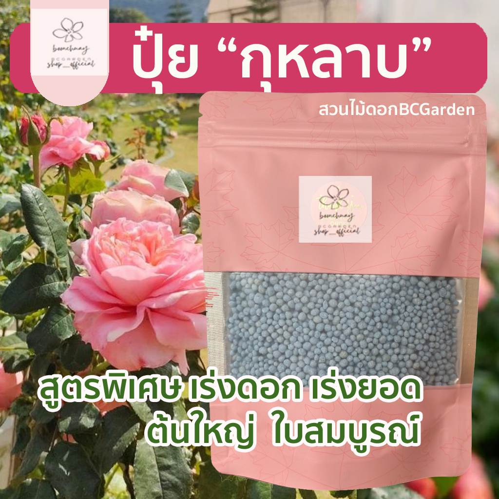 ซื้อ3แถมฟรี1-ปุ๋ยบำรุงกุหลาบ-สูตรพิเศษ-ปุ๋ยกล้วยไม้-ปุ๋ยดอกไม้-เร่งใบ-เร่งดอก-ขนาด-200-กรัม