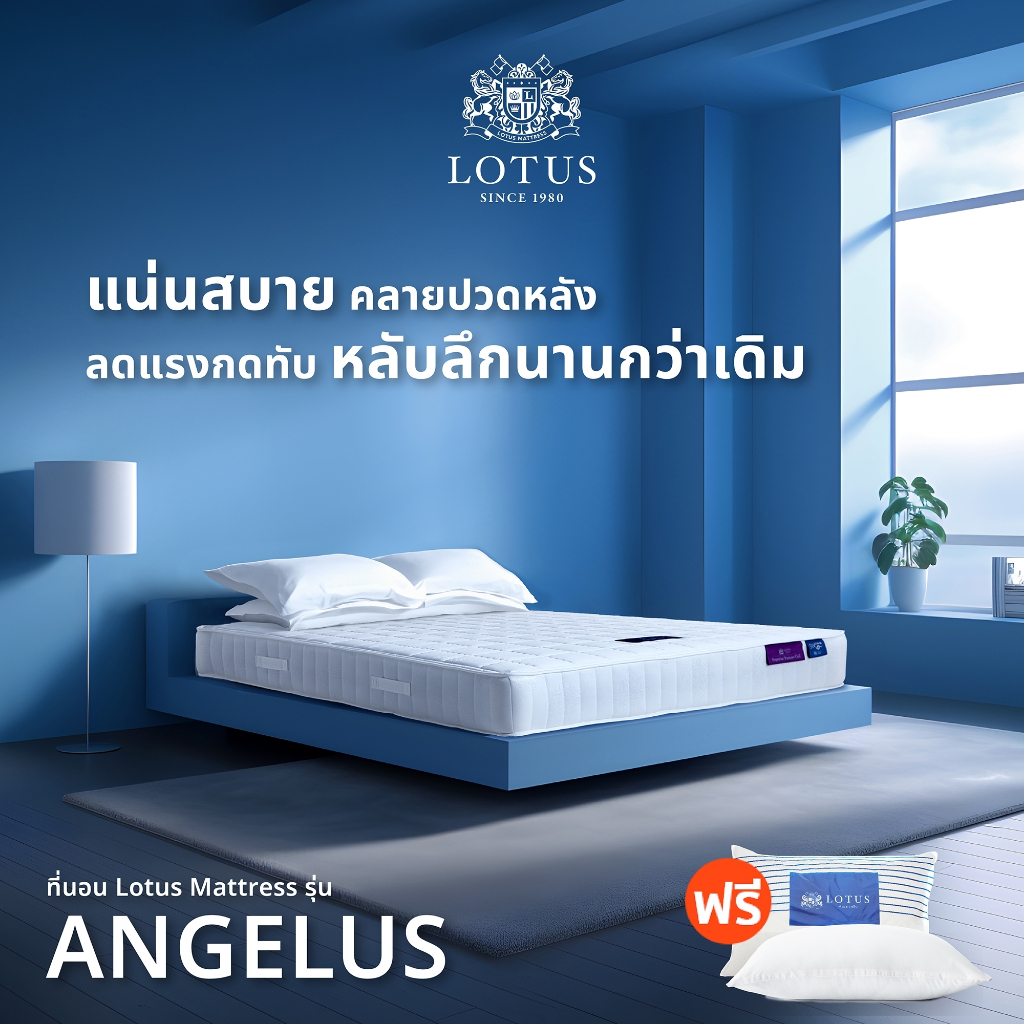 รูปภาพของLOTUS รุ่น Angelus ที่นอนแก้ปวดหลัง สัมผัสแน่นสบาย นอนได้ทั้ง 2 ด้าน ผสานระบบนวดแผ่นหลัง ป้องกันไรฝุ่น หนา 10 นิ้วลองเช็คราคา