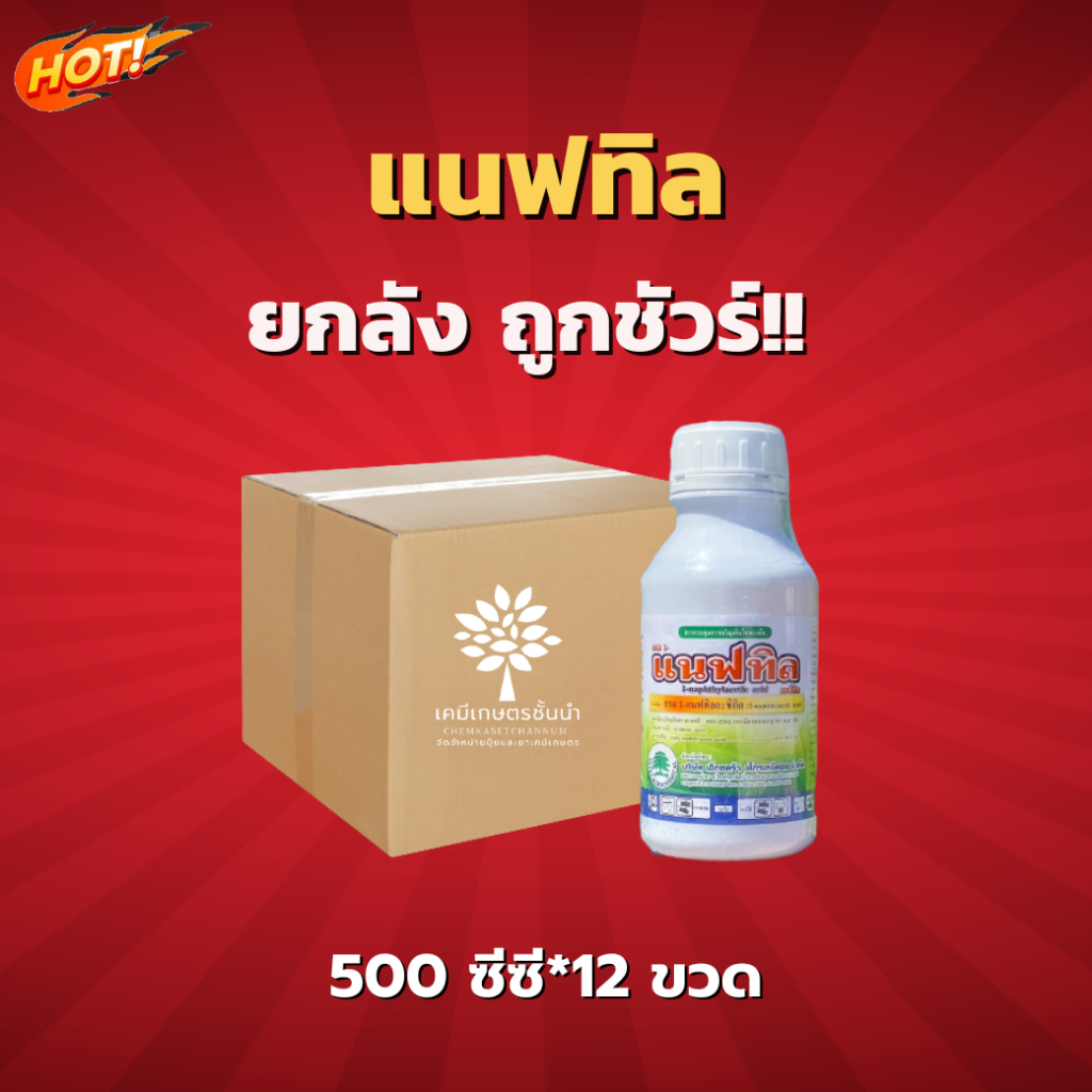 แนฟทิล-ยกลัง-ขนาด-500-ซีซี-12-ขวด-ชิ้นละ-160-บาท