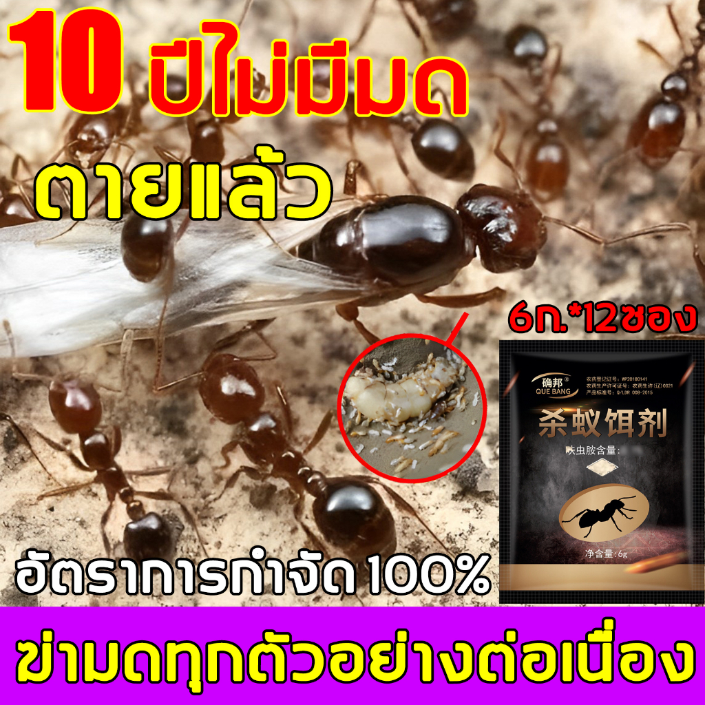 ได้ผล100-กำจัดมด-ยาฆ่ามด-เหยื่อมด-ติดยา1ตัว-ตายทั้งรัง-เหยื่อกำจัดมด-มดตาย-ผงฆ่ามด-ant-bait