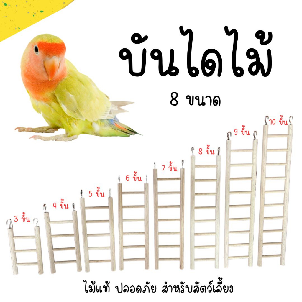 บันไดไม้-เสาขนาด-1ซม-2-11-ขั้นไต่-ที่เกาะ-สำหรับนก-กระรอก-ชูการ์-ไม้ธรรมชาติ-ไม้ธรรมชาติ-ปลอดภัยต่อสัตว์เลี้ยง-ตกแต่งกรง