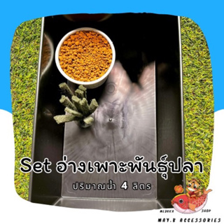 Set อ่างเพาะพันธุ์ปลา | ขนาด 4 ลิตร