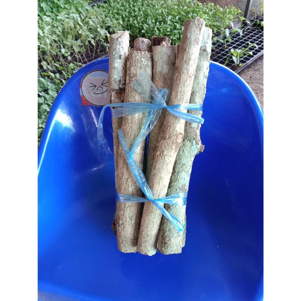 ไม้สําหรับใช้เป็นเชื้อไฟ-ไม้ฟืนก่อไฟ-ฟืน-firewood-camp-fire-stove-มัดละ-1-kg-35-บาท