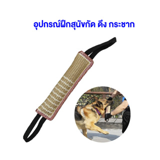 อุปกรณ์ฝึกสุนัขสำหรับกัด เชือกของเล่นฝึกสุนัข มีหูจับ 2 ด้าน Biting Dog Training Profess