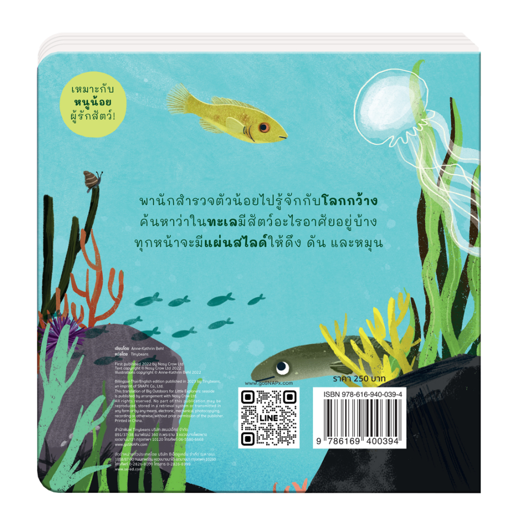 หนังสือเด็ก-ชุดนักสำรวจตัวน้อย-ทะเล-big-outdoors-for-little-explorers-seaside