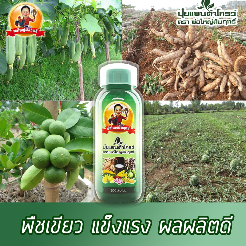 แพนต้าโกรว์-ปุ๋ยเคมี-ธาตุอาหาร-ตราพ่อใหญ่สัมฤทธิ์