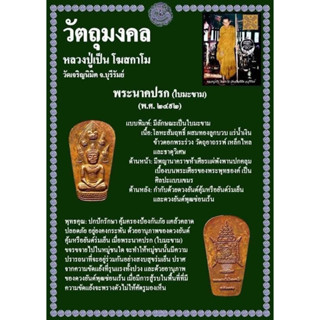 พระนาคปรกใบมะขามปี พ.ศ.2492 หลวงปู่เป็น โฆสกาโม