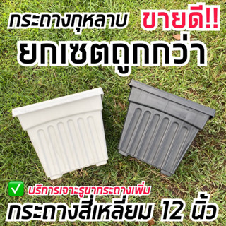 กระถางสี่เหลี่ยม 12 นิ้ว เซต 5,6 ใบ กระถางกุหลาบ กระถางโรมัน พร้อมส่ง