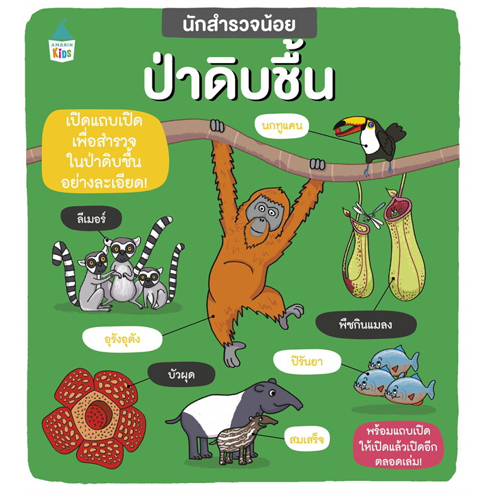 นักสำรวจน้อย-ป่าดิบชื้น-ผู้เขียน-ฟีบี้-จัสคอร์ส-คาร์ลี่-เบลค