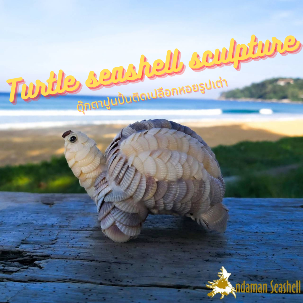 andaman-seashell-ตุ๊กตาปูนปั้นติดเปลือกหอย-เต่าติดหอยแครง