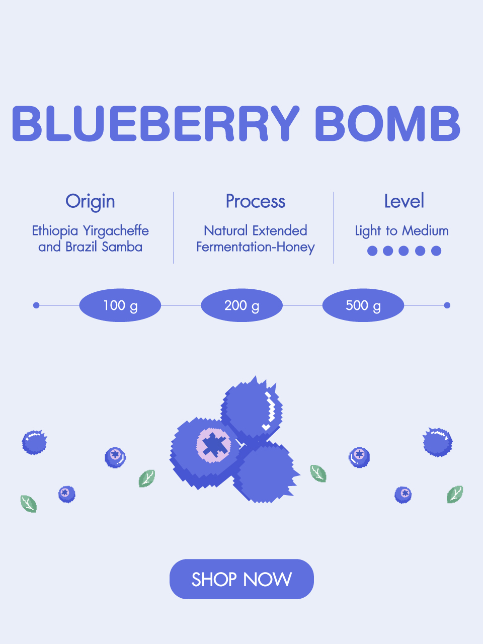 เมล็ดกาแฟ-blueberry-bomb-coffee-beans-กาแฟ-บลูเบอร์รี่-บอมบ์