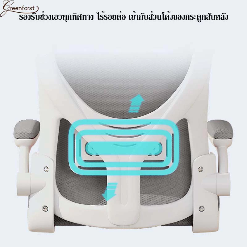 Greenforst เก้าอี้ออฟฟิศ เก้าอี้สำนักงานมีล้อเลื่อน ปรับระดับได้ พนักพิงผ้าตาข่าย นั่งสบาย รุ่น 2321/2322/2276