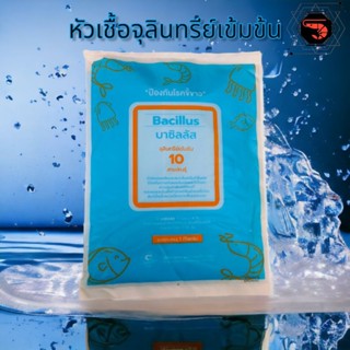 ราคาหัวเชื้อ จุลินทรีย์ บาซิลัส บำบัดน้ำเสีย ในบ่อเลี้ยงสัตว์น้ำและปรับสภาพน้ำคุณภาพสูง 10 สายพันธุ์ ขนาด 1 กิโลกรัม