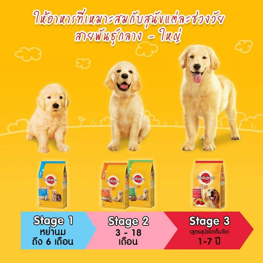 pedigree-เพดดิกรี-puppy-อาหารลูกสุนัข-อาหารเม็ดลูกสุนัข-ลูกสุนัข-ขนาด-8-kg-bnnpetsho