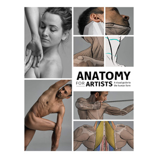Anatomy for Artists : A visual guide to the human form