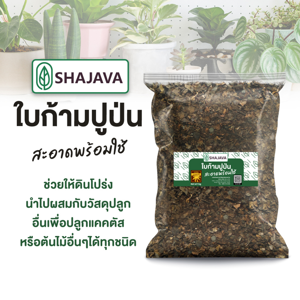 shajava-ใบก้ามปูป่น-1-kg-ใบก้ามปู-ใบก้ามปูหมัก-ใบก้ามปู