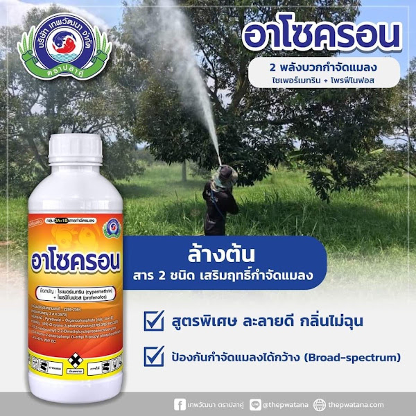 อาโซครอน-ล้างบางเพลี้ยหนอนด้วง-ไซเพอร์เมทริน-โพรฟีโนฟอส-หนอนเจาะดอก-หนอนชอนใบ-แมลงค่อมทอง-เพลี้ย-500-ซีซี