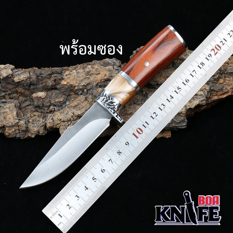 มีดตรง-สแตนเลส-collection-knife-camping-straight-พร้อมซองมีด-แค้มป์ปิ้ง-เดินป่า-ทำอาหาร