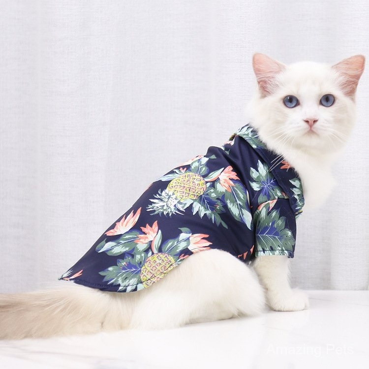 เสื้อเชิ้ตแมว-ส่งด่วน-ร้านไทย-แมวน่ารักๆ