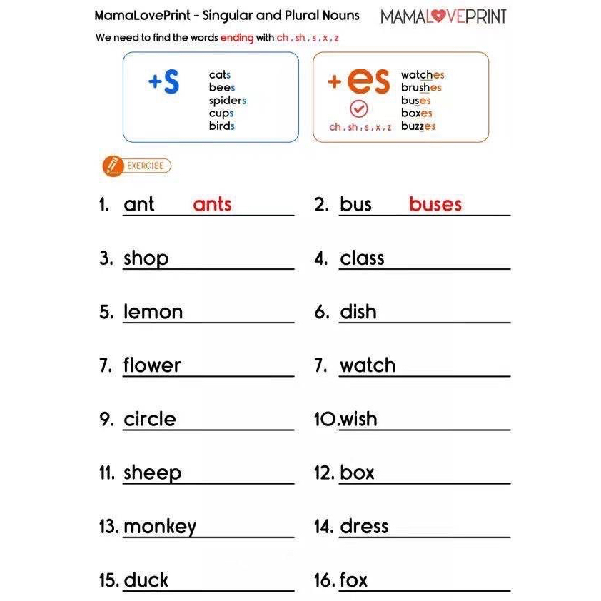 แบบฝึกหัดแกรมม่า-common-english-grammar-หนังสือเด็กภาษาอังกฤษ-แกรมม่า-แกรมม่าเบื้องต้น-เบสิคแกรมม่า