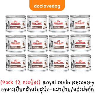 (Pack 12 กระป๋อง) Recovery อาหารเปียกให้พลังงานสูงเหมาะสำหรับสุนัขและแมว