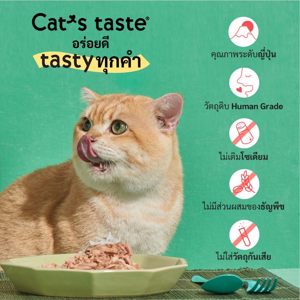 ยกโหล-cats-taste-อาหารเปียกแมวแบบ-แพ็ค-12-ซอง-สูตรลูกแมวและแมวโต-ลูกแมว70g-แมวโต75g