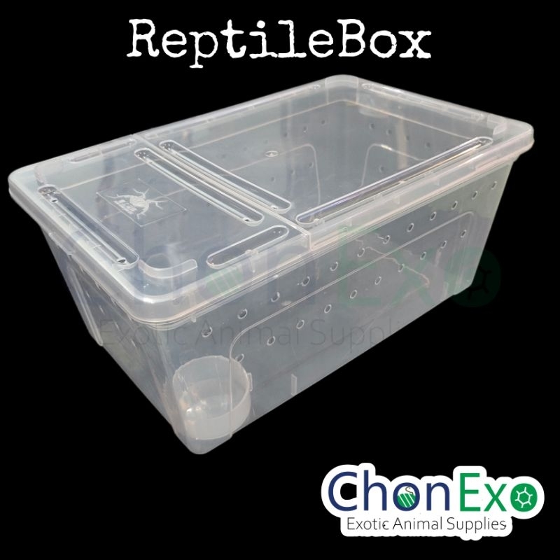 พร้อมส่ง-reptile-box-กล่องเลี้ยงสัตว์เล็ก-สัตว์เลื้อยคลาน-แมงมุม-ตุ๊กแก-กบฮอร์นฟรอก-งู