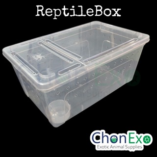 (พร้อมส่ง)Reptile Box กล่องเลี้ยงสัตว์เล็ก สัตว์เลื้อยคลาน แมงมุม ตุ๊กแก กบฮอร์นฟรอก งู