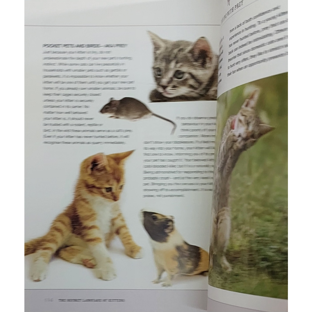 หนังสือ-การเรียนรู้ภาษากาย-แมว-ลูกแมว-ภาษาอังกฤษ-the-secret-language-of-kittens-191page