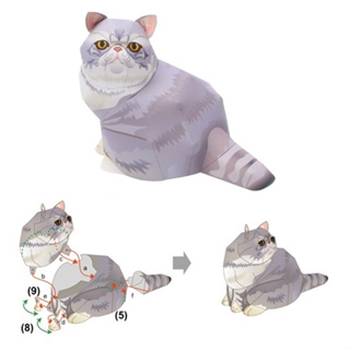 โมเดลกระดาษ 3D : แมวเอ็กซ์โซติก ช็อตแฮร์ กระดาษโฟโต้เนื้อด้าน  กันละอองน้ำ ขนาด A4 220g.