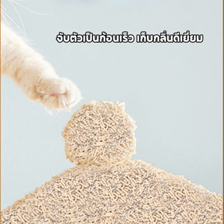 ภาพขนาดย่อของภาพหน้าปกสินค้าสินค้าพร้อมส่ง ทรายแมว 6ลิตร ทรายเต้าหู้ ทรายเบนโทไนท์ ทรายแมวผสมMixed Cat Litterผลิตจากกากถั่วเหลืองธรรมชาติ จากร้าน evercharm บน Shopee ภาพที่ 5