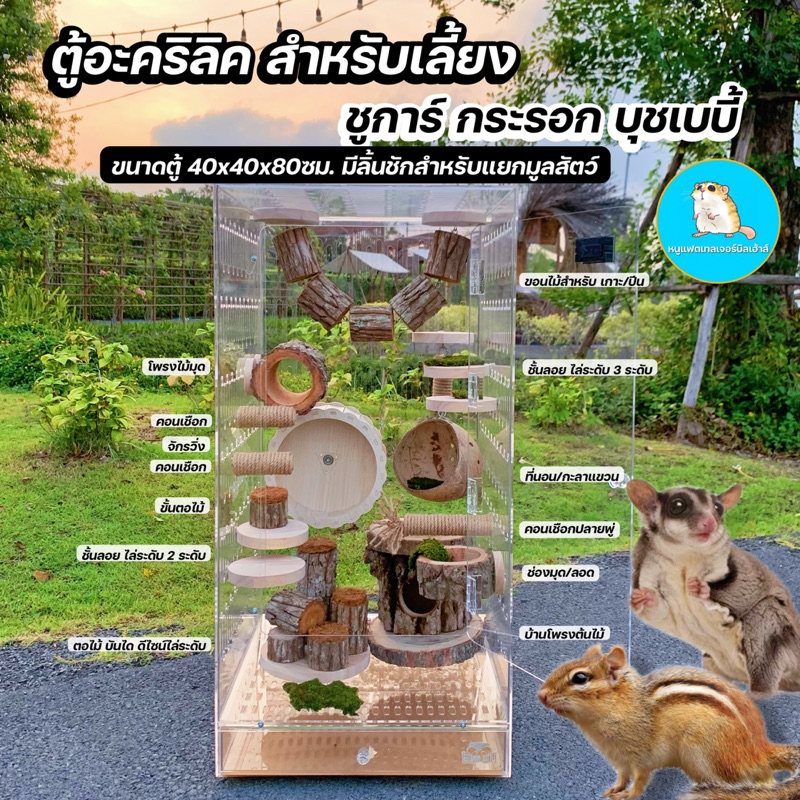 ตู้ใหญ่-กรงสำหรับเลี้ยง-ชูการ์-กระรอก-บุชเบบี้-นก-ขนาด40x40x80ซม-กรงนก-กรงชูการ์-บ้านนก-บ้านกระรอก-กรงสัตว์เลี้ยง