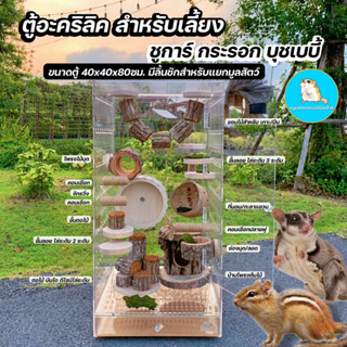 ตู้ใหญ่🐿️กรงสำหรับเลี้ยง ชูการ์ กระรอก บุชเบบี้ นก//ขนาด40x40x80ซม. กรงนก กรงชูการ์ บ้านนก บ้านกระรอก กรงสัตว์เลี้ยง