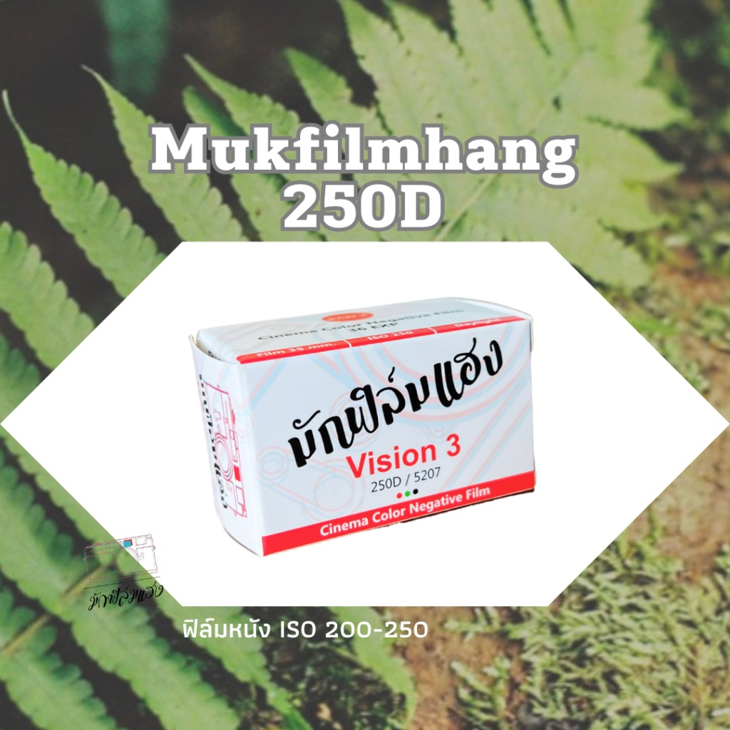 รูปภาพของฟิล์มหนัง Mukfilmhang vision3 250D /36ภาพลองเช็คราคา