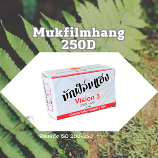 สินค้า ฟิล์มหนัง Mukfilmhang vision3 250D /36ภาพ
