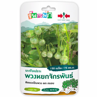 ของแถม เมล็ดพันธุ์ มะเขือเปราะพวงหยกจักรพันธ์ จันกะผัก (East West Seed) เมล็ดพันธุ์ผักสวนครัว ตราศรแดง Free-02