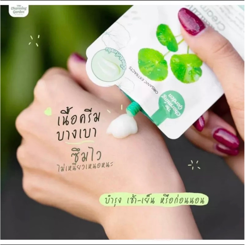ครีมกู้ผิวใบบัวบก-แบบซอง-ครีมซิกก้า-cicacream