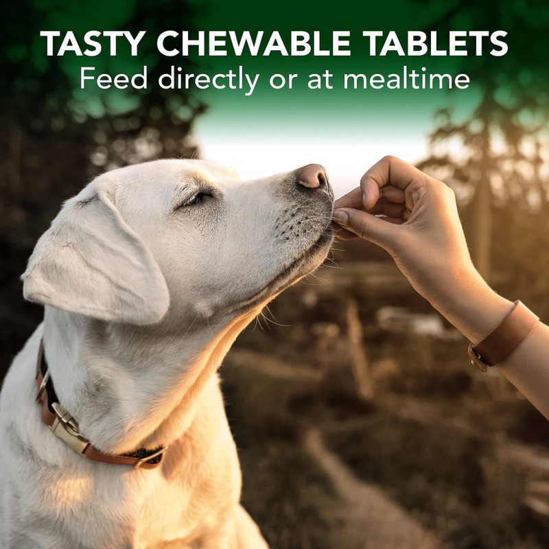 แบ่งขาย-vets-best-chewable-tablets-allergy-แก้แพ้-แก้คัน-สำหรับสุนัข