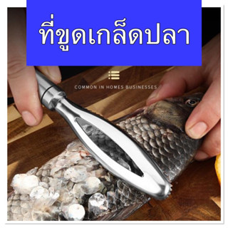 Fish scraper ที่ขูดเกล็ดปลา วัสดุสแตนเลส