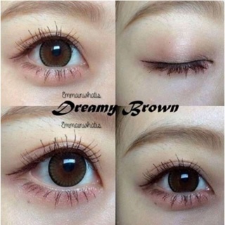 Mini Dreamy Brown (ขนาด14.2) สายตา 50 - 425 คอนแทคเลนส์ Kitty Kawaii