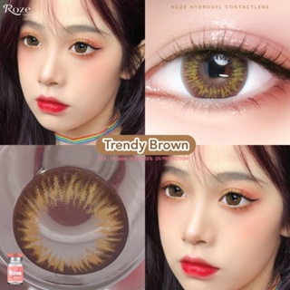 Trendy gray/Brown by Roze hydrogel ค่าอมน้ำ55%