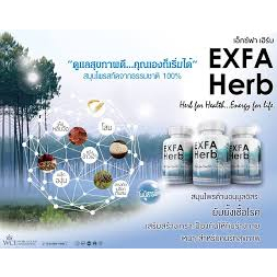 เอ็กซ์ฟา-เฮิร์บ-exfa-herb-สมุนไพรสกัดจากธรรมชาติ-สำหรับคนรักสุขภาพ-เสริมภูมิต้านทาน-เหมาะสำหรับคนรักสุขภาพ