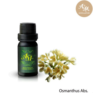 Aroma&amp;More Osmanthus Absolute Extract Oil France / น้ำมันหอมระเหยออสแมนทัส แอปโซลูท 100% (หอมหมื่นลี้) France 5/10/30ML