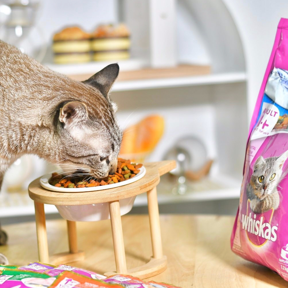อาหารเม็ดแมว-whiskas-วิสกัส-สูตรลูกแมว-ขนาด-1-2kg