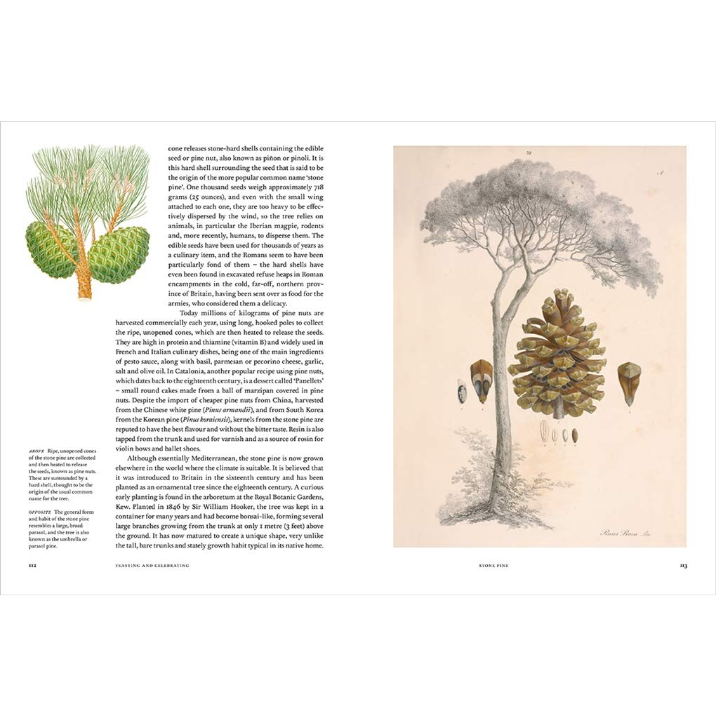 remarkable-trees-royal-botanic-gardens-hardback