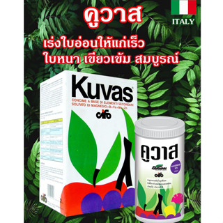 คูวาส ธาตุอาหารรองเสริม สูตร EDTA แมกนีเซียมสูง เร่งใบอ่อนให้แก่เร็ว ใบหนา เขียวเข้ม Mg สูง ในรูป คีเลต EDTA พืชกินได้ไว