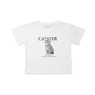 Catster ทรงสวย ผ้าหนานุ่ม ใส่สบาย