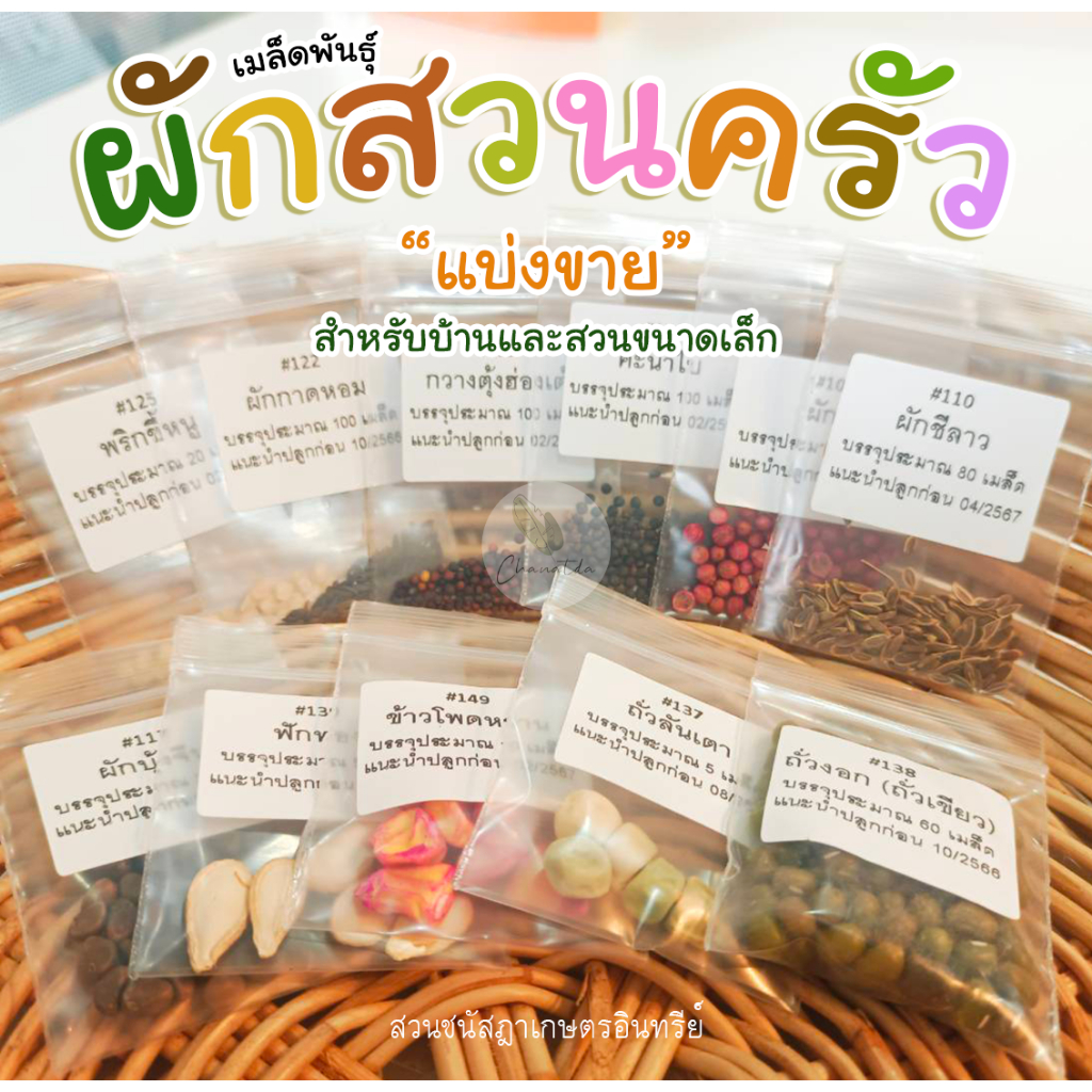 ติดตามลด50-เมล็ดผักสวนครัว-หลายชนิด-แบ่งขายเหมาะสำหรับบ้านและสวนขนาดเล็ก-ราคาถูก