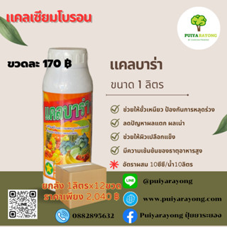 ยกลัง12ขวด แคลเซียมโบรอน แคลบาร่า มีความเข้มข้นของธาตุอาหารสูง ป้องกันการหลุดร่วง ขั้วเหนียว ลดปัญหาผลแตก ผลเน่า