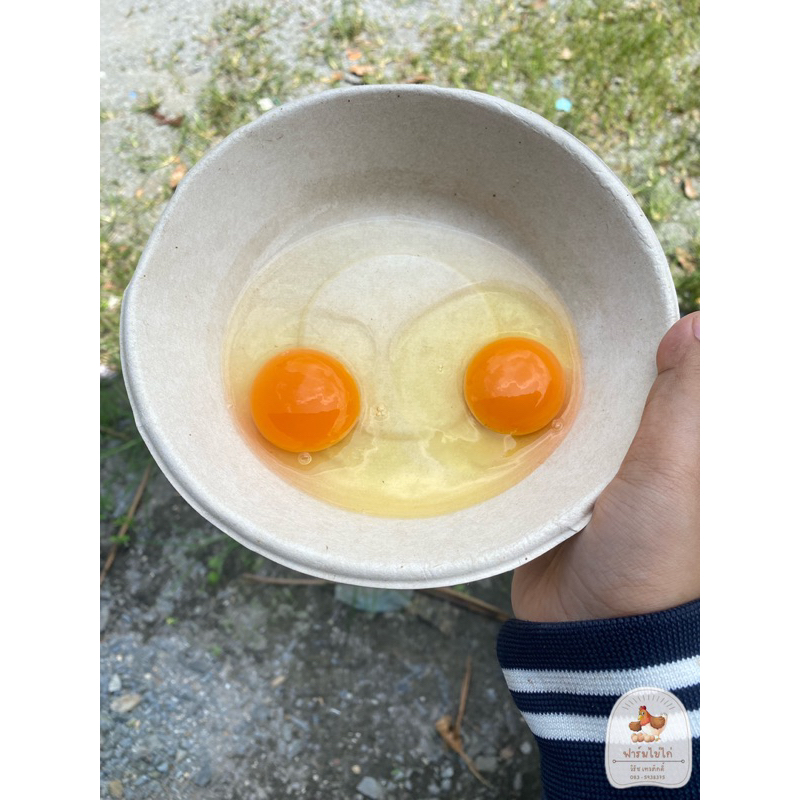 ไข่ไก่เบอร์-3-ปลอดสารเคมี-สะอาด-สด-ใหม่-จากฟาร์มวิรัช-เทวภักดิ์